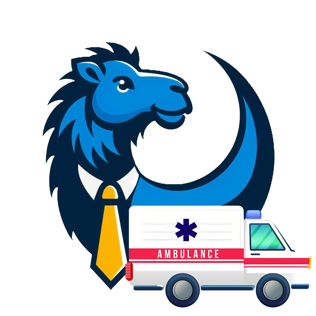 Ambulance 20