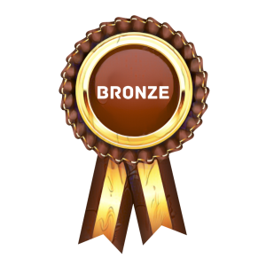 Medal Bronze