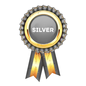 02 - Empresas – SILVER – Suscripción Trimestral – OFERTA – 30% de descuento
